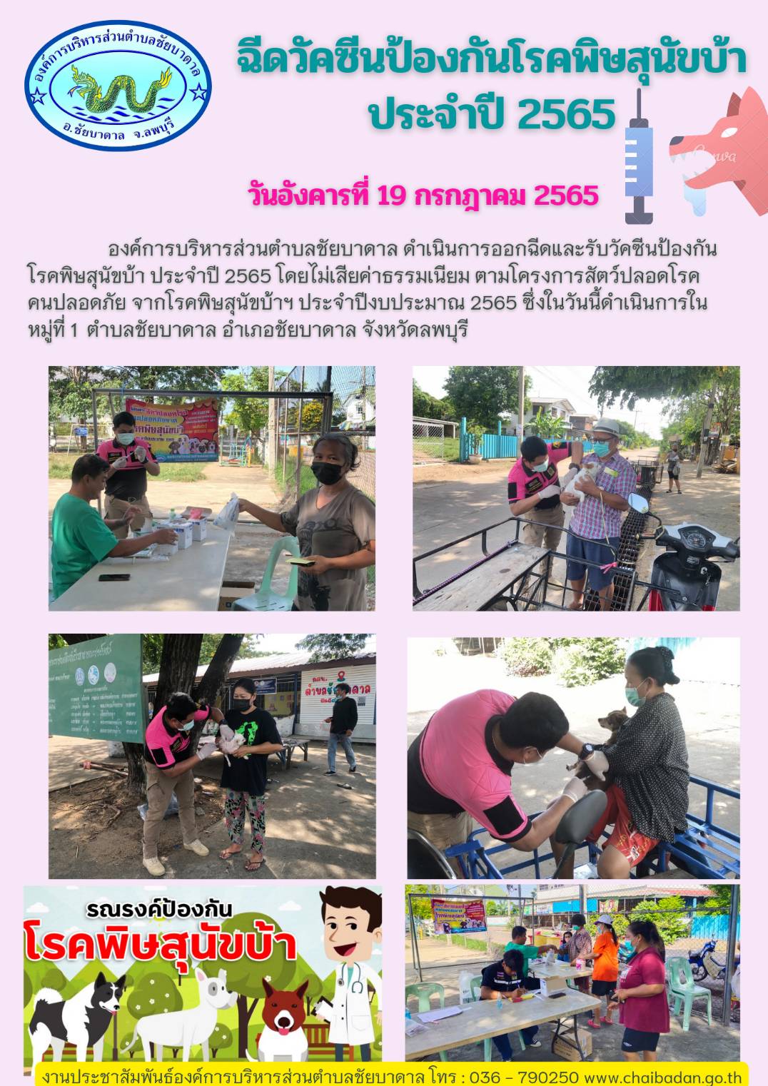 การฉีดวัคซีนป้องกันโรคพิษสุนัขบ้า 2565